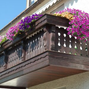 Balcony Plants