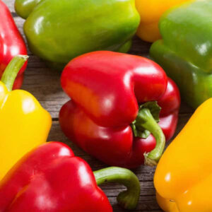 Bellpepper Mini Red Imported - Vegetable Seeds