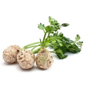 Celery Cutting Leaf Common Vegetable Seeds