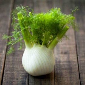 Imported Sweet Fennel