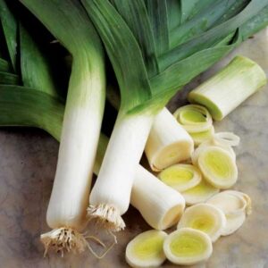Leek American Flag Vegetable Seeds