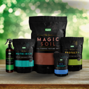 Plant essential starter pack (Set of 5)